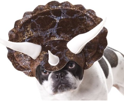 dog-triceratops-costume