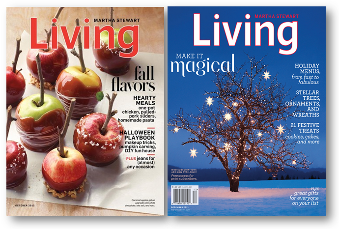 martha-stewart-living-magazine-fall