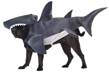 shark-costume-dog