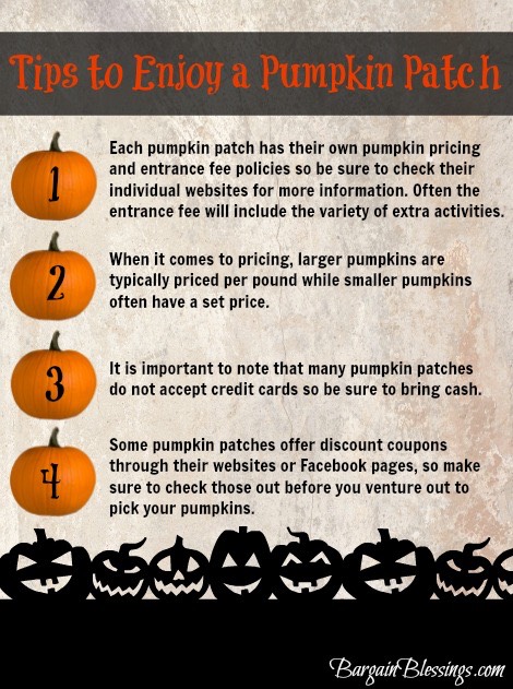 tips-to-enjoy-a-pumpkin-patch