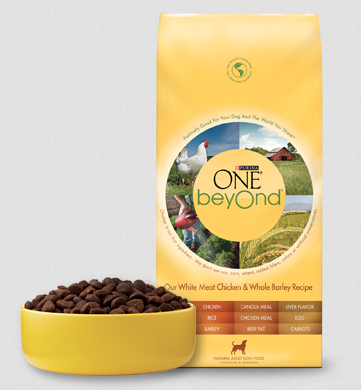 purina-one-sample