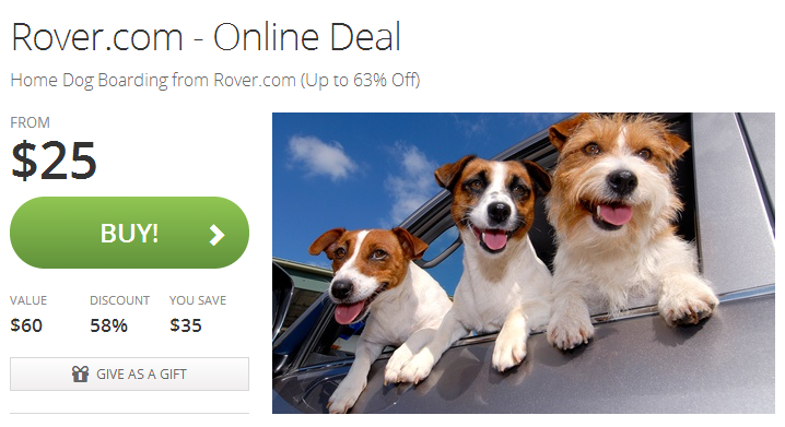 rover-groupon-deal