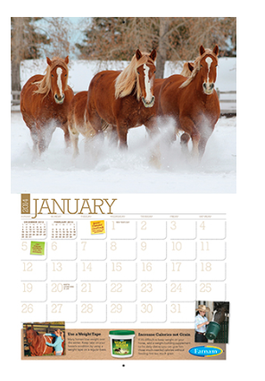 farnam-calendar