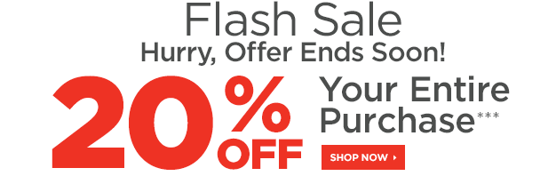 sports-authority-flash-sale