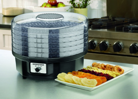 food-dehydrator