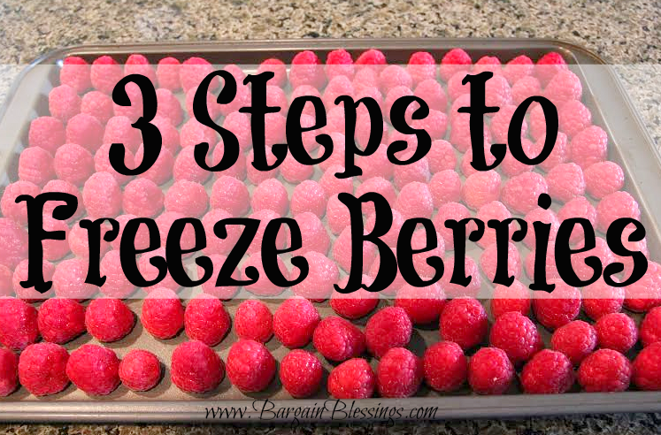 3-steps-to-freeze-berries