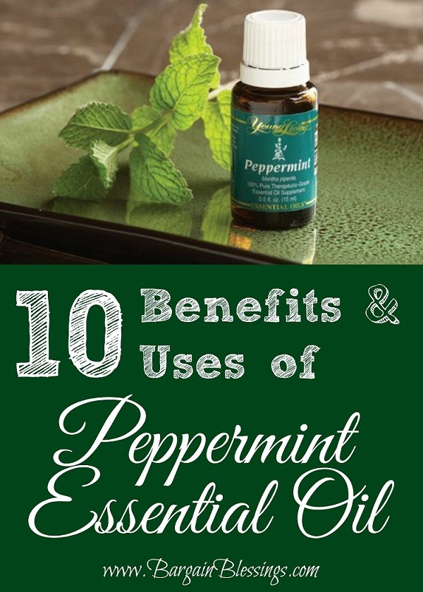 peppermint-benefits-uses