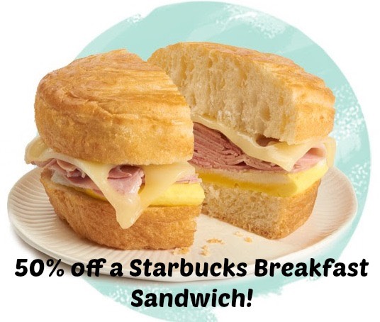 breakfast-sandwich-starbucks