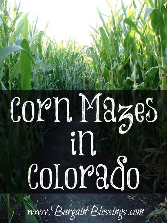 corn-maze-colorado