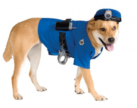 dog-costumes-amazon